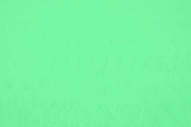 istock Green color texture pattern abstract background can be use as wall paper screen saver brochure cover page or for presentations background or articles background also have copy space for text. 850614558