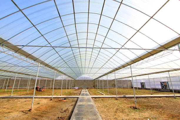vegetable greenhouse internal structure, uncultivated land, north china - construction frame plastic agriculture greenhouse imagens e fotografias de stock