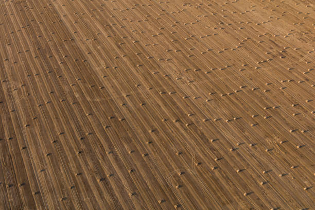 aerial view of the harvest fields in Poland