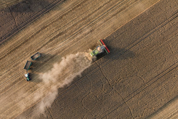 istock aerial view of the combine harvester 850619496