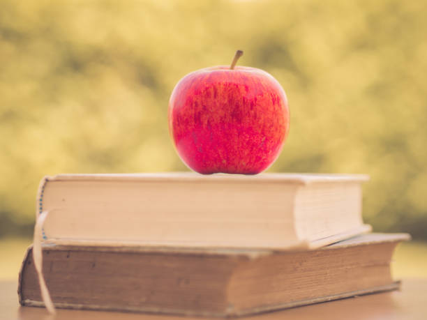 istock World Book Day concept. Retro and selective focus of red apple put on stack of old books. 850623704