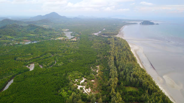 istock Pakmeng Beach in Sikao District Trang Province, Thailand 850624552