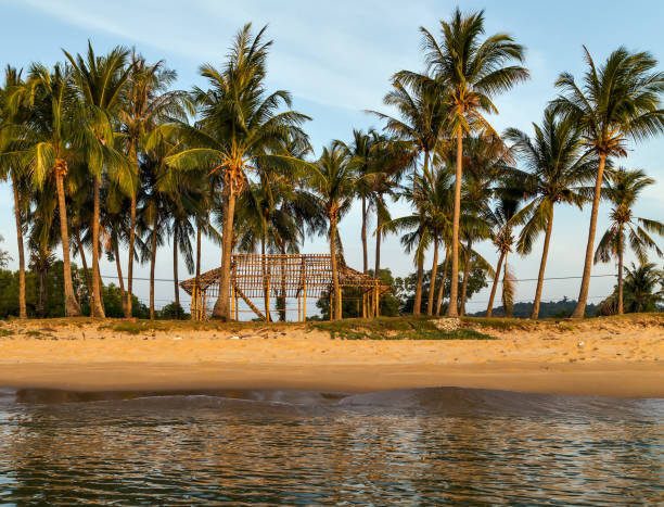 istock jungle island sea house ruin 850643054
