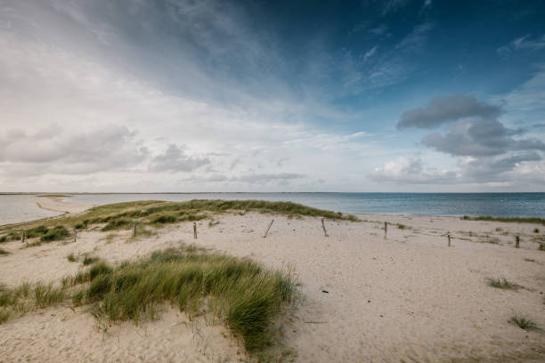 costa paisaje de la isla de sylt - amrum summer spring island fotografías e imágenes de stock