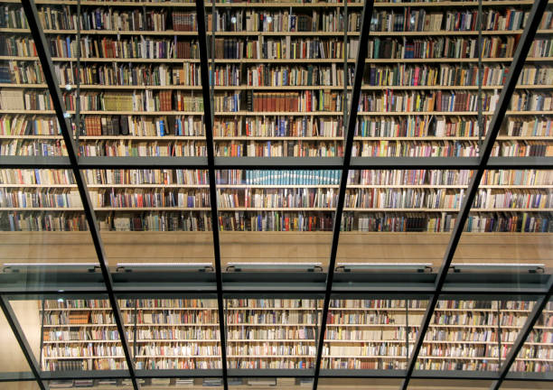 istock books shelf  in the latvian national library interior 850647258