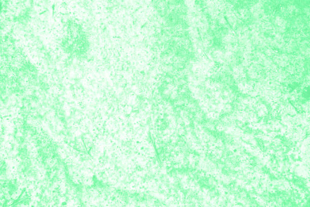 istock Green color texture pattern abstract background can be use as wall paper screen saver brochure cover page or for presentations background or articles background also have copy space for text. 850668694