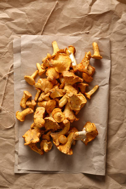 istock Chanterelles harvest on craft paper, forest mushrooms 850669628