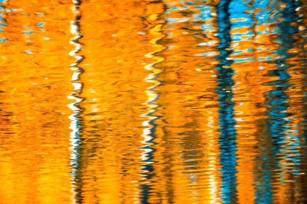 istock reflections in the water, abstract autumn background 850676526