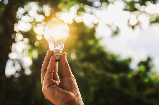 istock idea solar energy in nature, hand holding light bulb concept 850684414