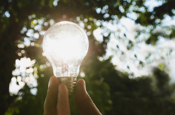 istock idea solar energy in nature, hand holding light bulb concept 850684988