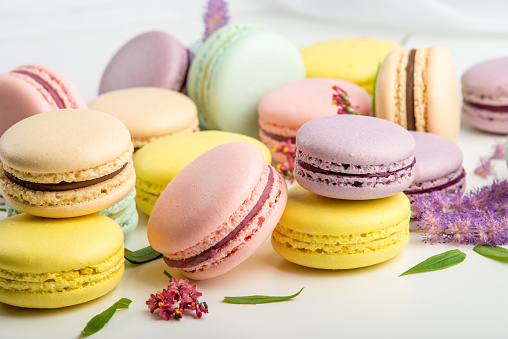 Colorful macarons with leaves and red flowers on a white background. French delicate dessert. Beautiful composition