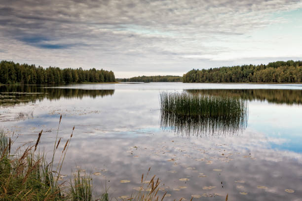 istock Autumn At The Lake 850692584