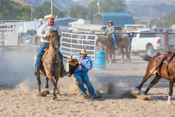 istock Cowboys Wrestling and Tying Steers at a Rodeo 850701310