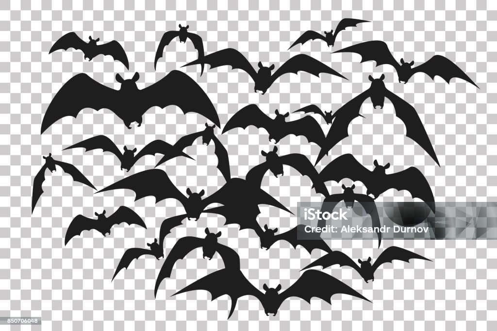 Black silhouette of flock of bats. Bunch of bats isolated on transparent background. Halloween traditional design element. Vector illustration Bat - Animal stock vector