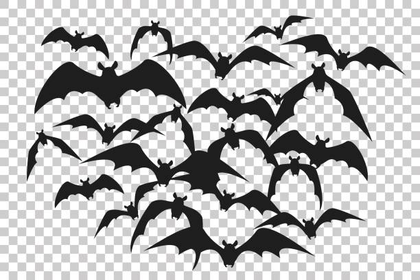 Black silhouette of flock of bats. Bunch of bats isolated on transparent background. Halloween traditional design element. Vector illustration Black silhouette of flock of bats. Bunch of bats isolated on transparent background. Halloween traditional design element. Vector illustration bat stock illustrations