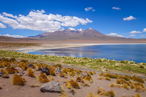 Altiplano laguna in sud Lipez eduardo Avaroa reserve, Bolivia