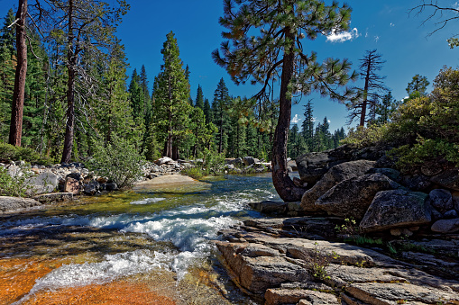 Bassi Falls is in the High Sierra Nevada Mountains above Lake Tahoe in California.  During the drought, there was very little water.  Now the melting snow pack has the river back to its deserved magnificense.  This photo was taken downstream from the falls.