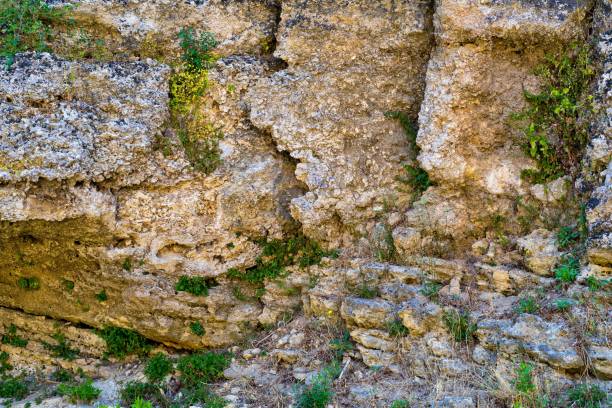 istock abstract texture of an old wall 850712464