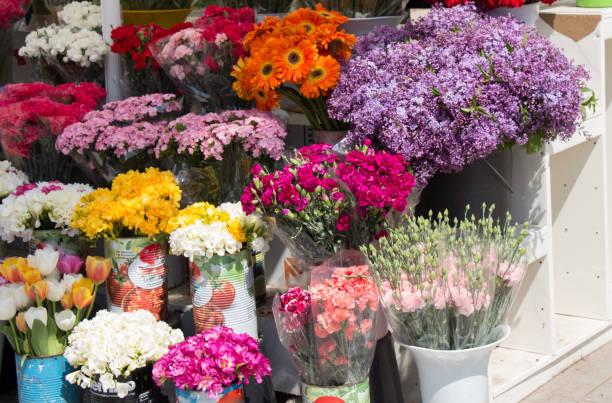 istock Colorful blooming   flowers in vase 850747056