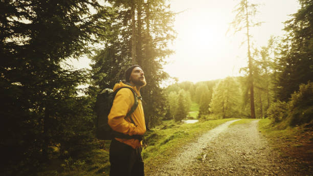 uomo che escursioni ed esplora l'area forestale - tree area footpath hiking woods foto e immagini stock