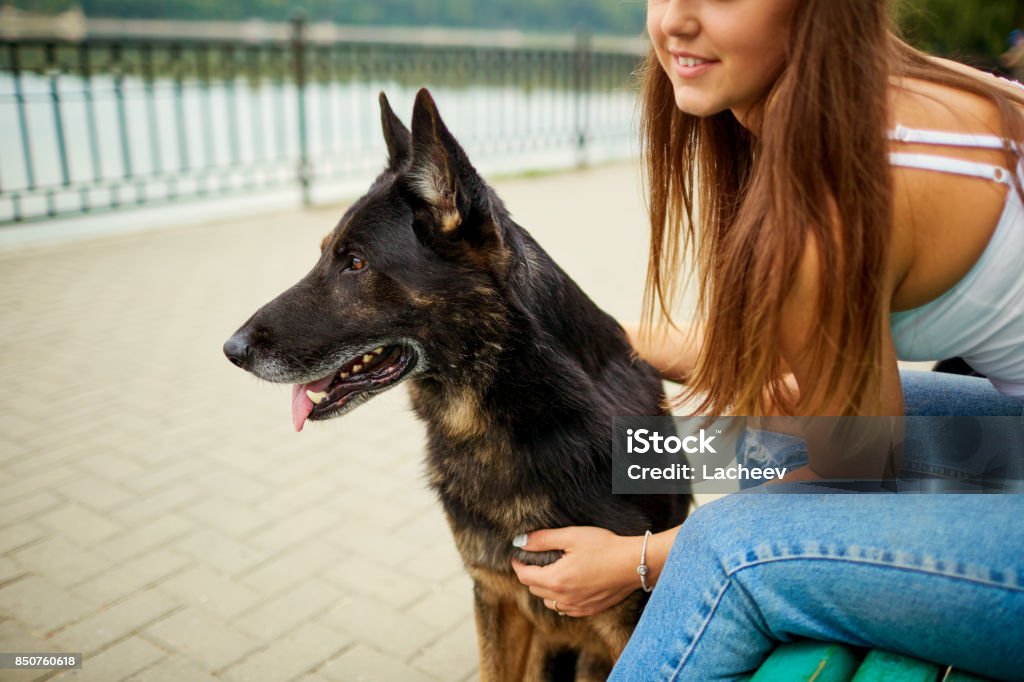 Portrait d’une jeune fille avec un chien dans le parc. - Photo de Chien libre de droits