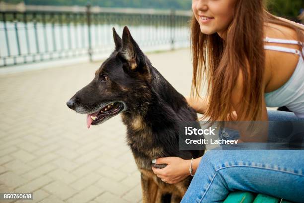 Portrait Of A Young Girl With A Dog In The Park Stock Photo - Download Image Now - Dog, Adult, Adults Only
