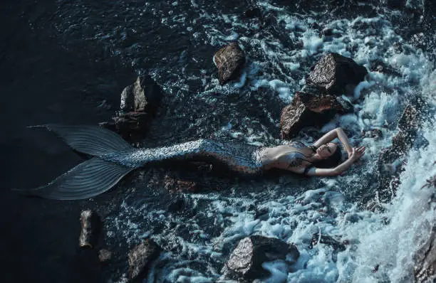 The real mermaid is resting on the ocean shore. Silver tail, the body is covered with scales. Creative colors