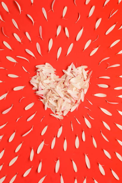 istock Heart made of petals 850763820