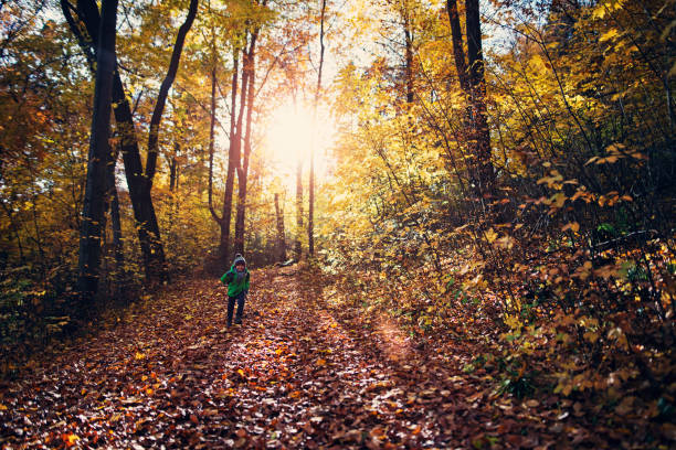 istock Little hiker running in autumn forest 850789850