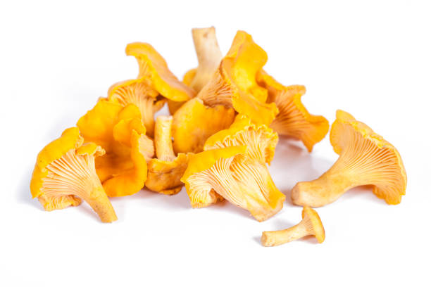 istock Chanterelle mushrooms isolated in white 850801540