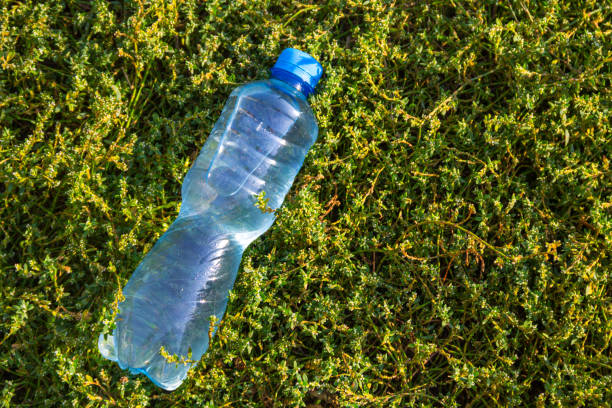 istock Bottle with fresh clean water on green grass 850801980