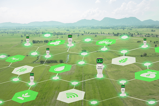 iot, internet of things, agriculture concept, Smart Robotic (artificial intelligence/ ai) use for management , control , monitoring, and detect with the sensor in the farm, field.