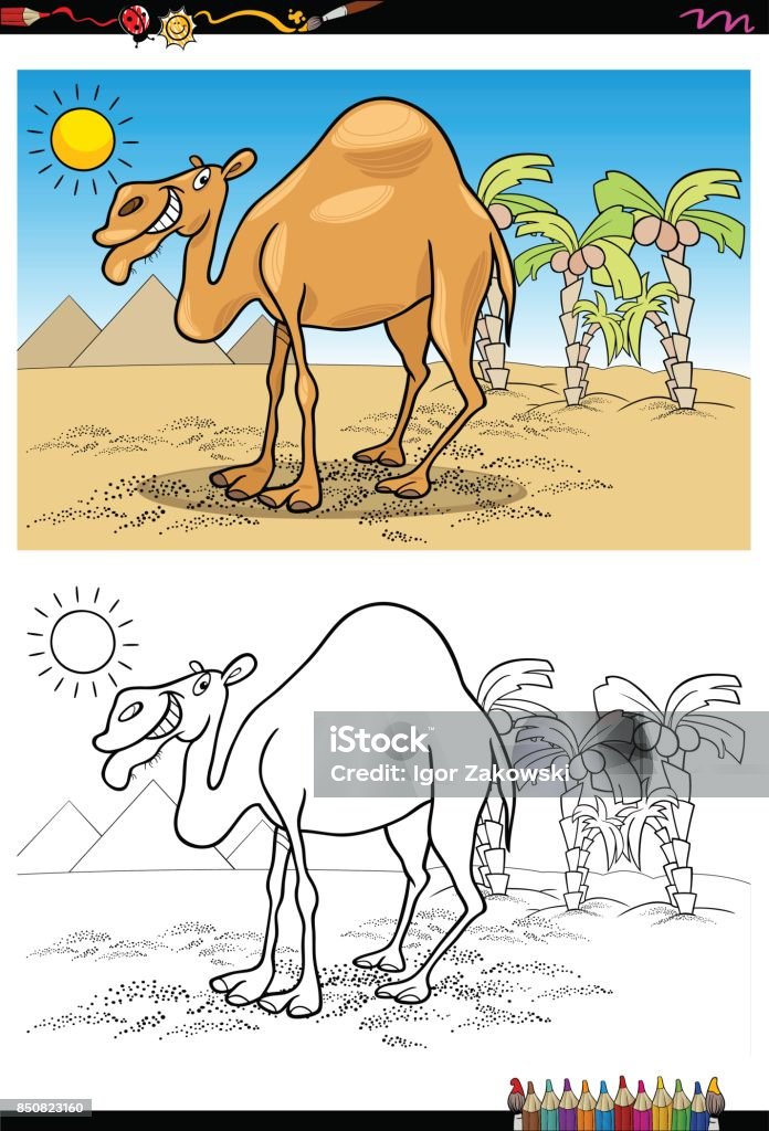 cartoon camel on desert coloring book Cartoon Illustration of Camel Animal Character on the Desert Coloring Book Activity Africa stock vector