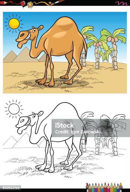 Cartoon Camel On Desert Coloring Book Stock Illustration - Download Image Now - Africa, Animal, Black And White