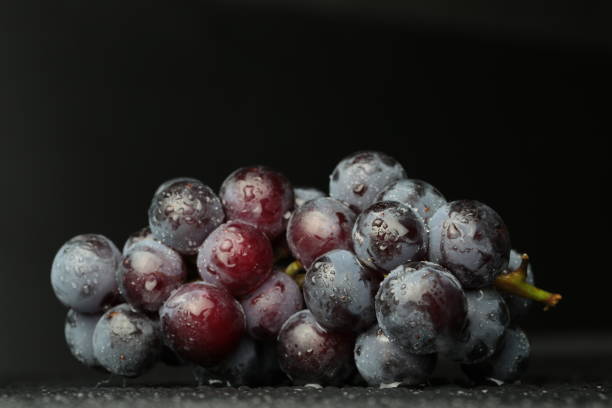 istock Red wine grapes on dark background / blue grapes/ wine grapes. 850829494