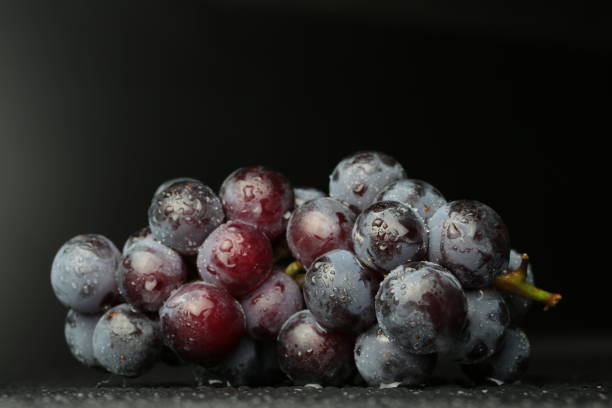 istock Red wine grapes on dark background / blue grapes/ wine grapes. 850829520