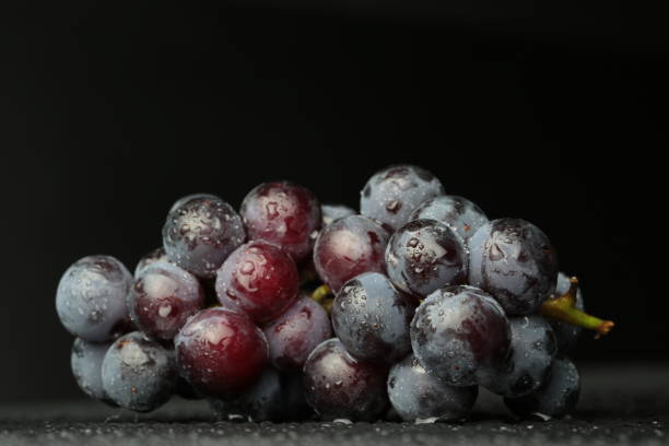 istock Red wine grapes on dark background / blue grapes/ wine grapes. 850829530