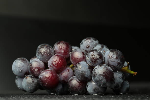 istock Red wine grapes on dark background / blue grapes/ wine grapes. 850829548