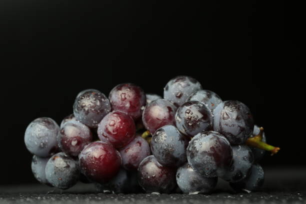 istock Red wine grapes on dark background / blue grapes/ wine grapes. 850829590