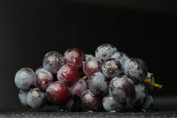 istock Red wine grapes on dark background / blue grapes/ wine grapes. 850829644