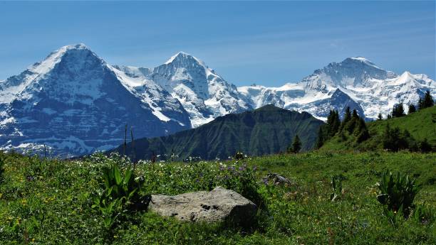 l'eiger, monch e jungfrau - la maestosa trinità delle alpi bernesi, svizzera - monch foto e immagini stock