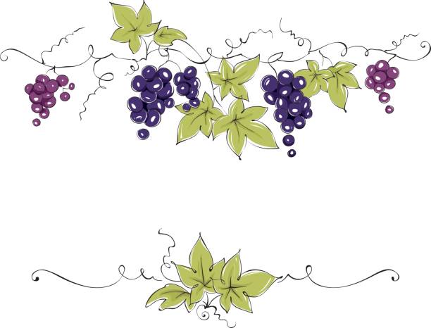 ramka z winogron - berry vine stock illustrations