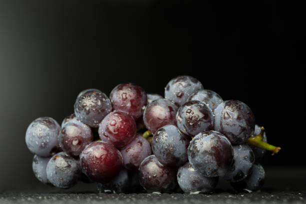 istock Red wine grapes on dark background / blue grapes/ wine grapes. 850869092