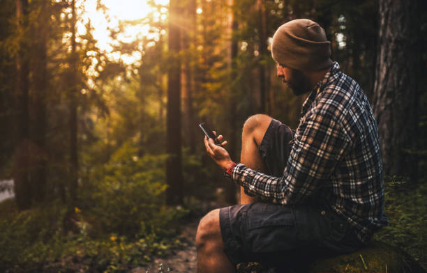 istock Traveler using smart phone sitting in the forest at sunset 850876726