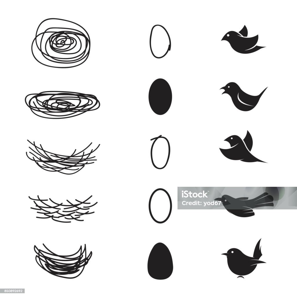 Vector Của Tổ Yến Và Trứng Và Chim Trên Nền Trắng Hình minh họa ...