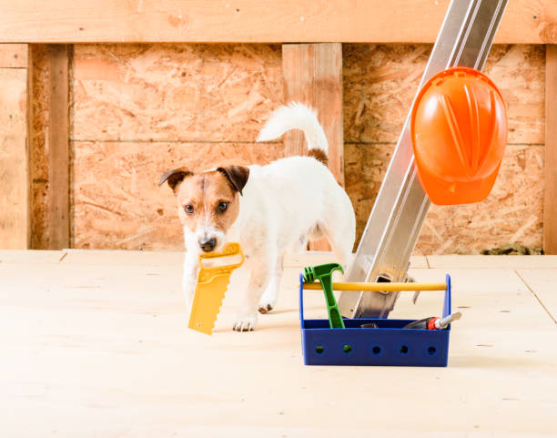 istock Funny carpenter worker with toy handsaw at construction site 850893956