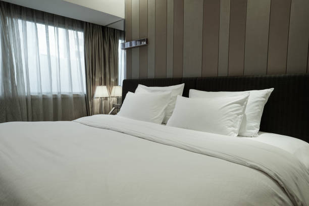istock Elegant and comfortable bedroom interior 850904764