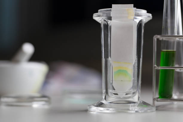 istock Study of Chromatography is used to separate components of a plant. 850906316