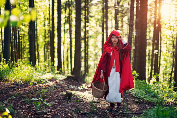 Little Red Riding Hood in red dress and famous red cape is walking in a forest\n