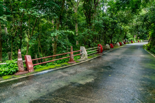 istock Asphalt country road 850914116
